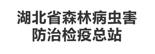 圖片標題