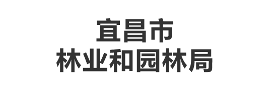 圖片標題
